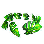 Monstera Crown of Green Gardens
