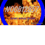 N00b’s_survivor_server!