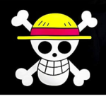 THE WIPEHATS