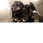 The Predator hide out