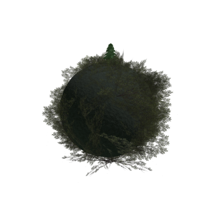 Tree Fruit