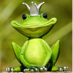 Frog Fwiend