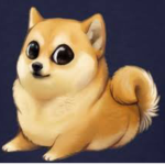 I am king of doge