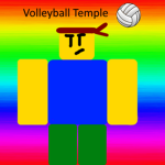 Volleyball Temple
