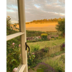 LeMad Poster/Comics