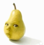 DPGESITOS