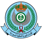 Saudi Air Force