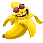 The Banana_Studio