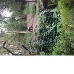 Mani Zoo