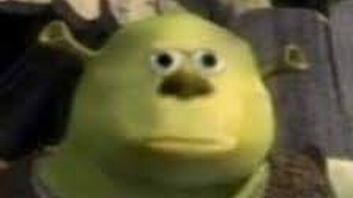 Shrek Is Mad