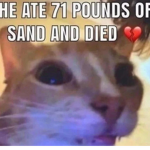 online meme group