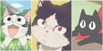 cat love:er community