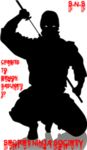 S.N.S Secret Ninja Society