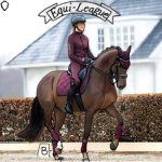 Equi-League Equestrian Academy