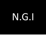 Next Generation Inc