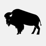 BisonStudios