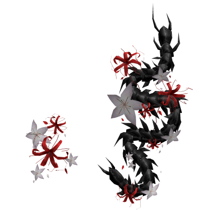 Japanese Spider Lily Black Centipede Front thumbnail