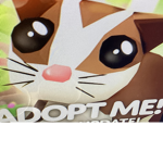 Adopt ma Fan Club!!