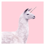 UnicornLlama Squad