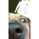積読