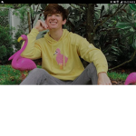 Flamingo fans where u at