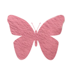 The pretty pixies