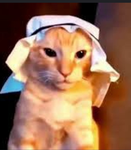 foxové