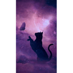 Cat-Sxuad