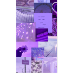 Purplex aesthetics