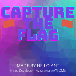 Capture The Flag!