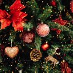 | Christmas Stars |