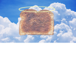The Toast colt
