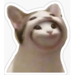 the national popcat group