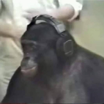 monke chips