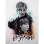 *Harry potters amzing fans*