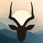 Bokke Tech