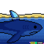 Shark back Studios