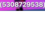 Roblox3