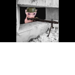 BINGUS VS FLOOPA MEETING