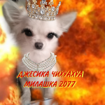 Asuwwik