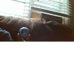 playing sportz