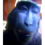 B r a n d o