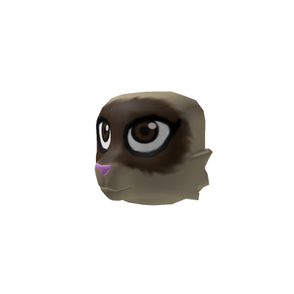 Siamese  cat head