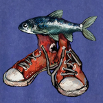 Fish Shoe Clothing