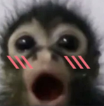 Delulu's group