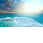 Piscis Cruises