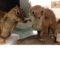 watch alvin (whoa)