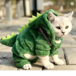 Team Kitttt