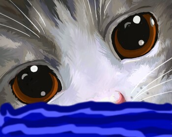 (UPDATE) Cute Cat Pocket FLOODED!!