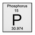 The Phosphorus Family